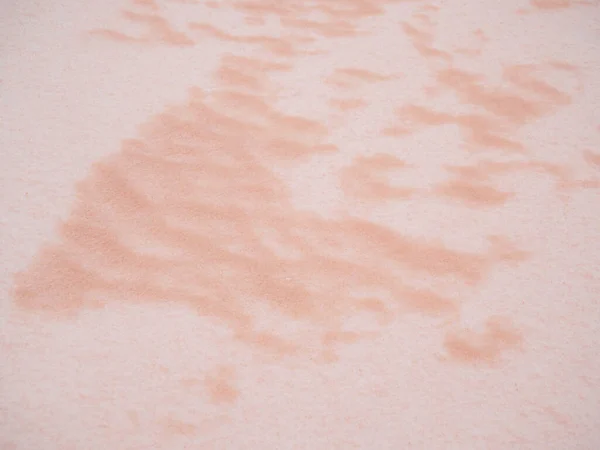 Polvo Saharaui Sobre Nieve — Foto de Stock