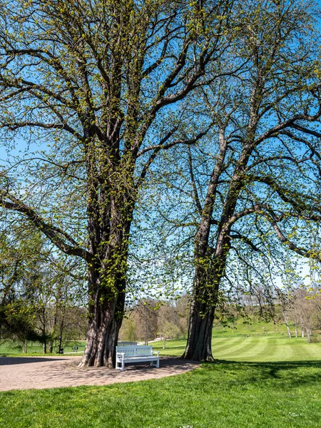 Zámecký Park Duby Tiefurtu Výmaru — Stock fotografie