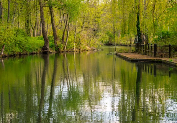 stock image Spree Canal landscape protection area in the Spreewald