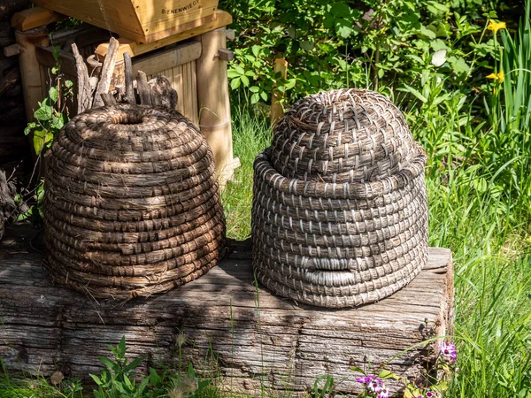 Old Beehive Stands Garden — Foto de Stock