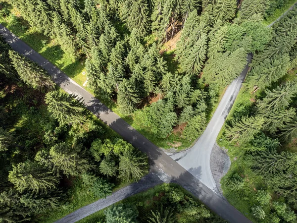 Estrada Através Floresta Cima Vogtland — Fotografia de Stock