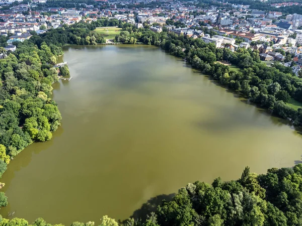 Vista Sobre Estanque Cisnes Zwickau —  Fotos de Stock