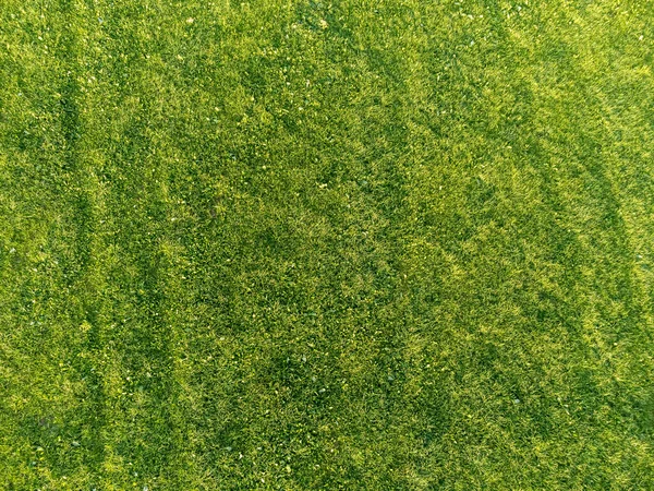 夏の芝生の空中風景 — ストック写真
