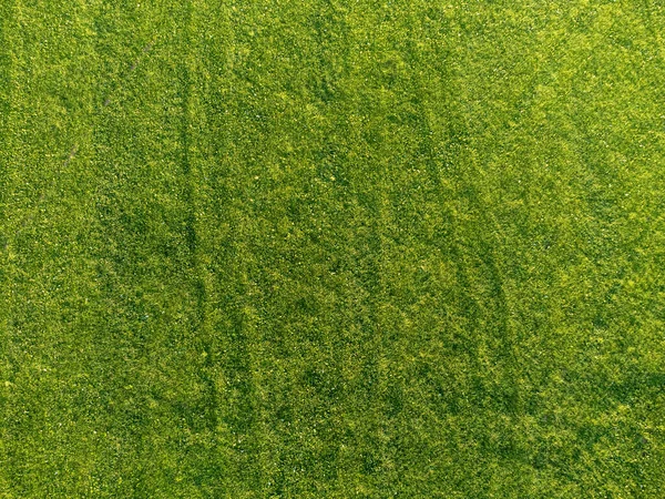 上から夏の緑の牧草地 — ストック写真