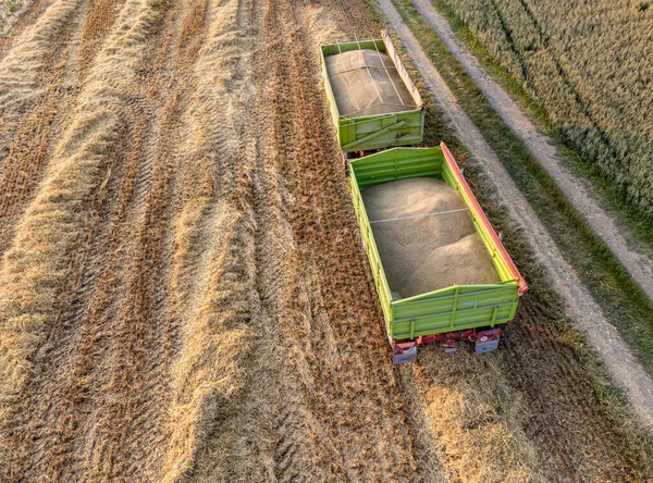 Karavanı Olan Bir Tahıl Tarlasının Havadan Görünüşü — Stok fotoğraf