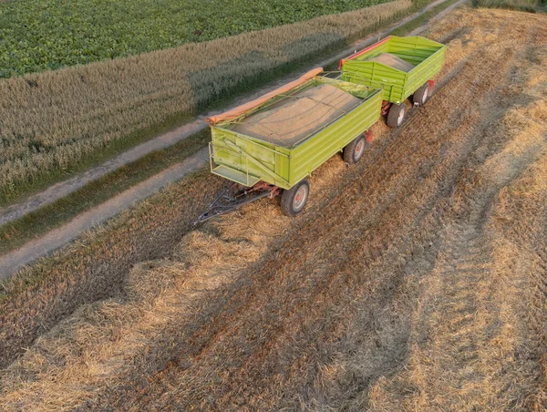 Anhänger Mit Getreide Der Landwirtschaft — Stockfoto