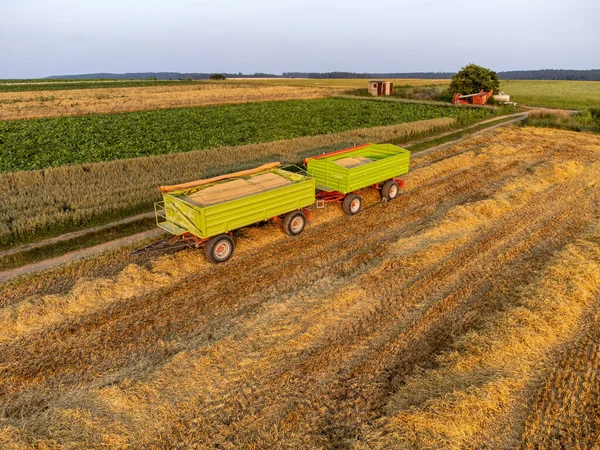 Remolque Campo Grano Agricultura — Foto de Stock