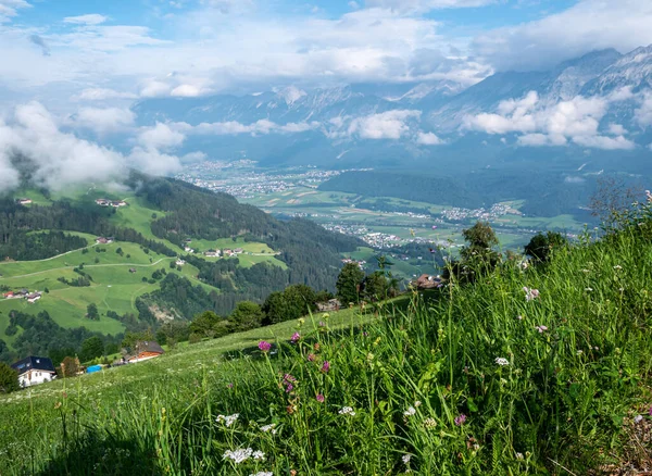 Summer Meadow Tyrolean Alps — Stock Photo, Image