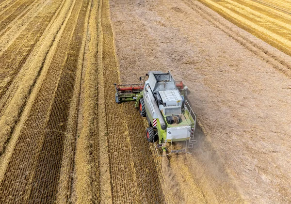 Combine Cosechadora Cosechando Campo Trigo — Foto de Stock