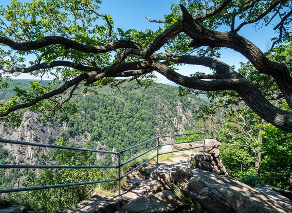 Natuurlandschap Harz Lage Bergketen Duitsland — Stockfoto