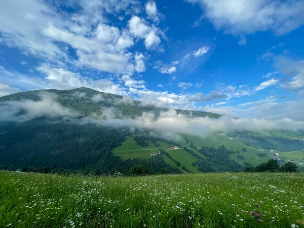 Alpine Meadow Tyrolean Alps Summer — Stock Photo, Image
