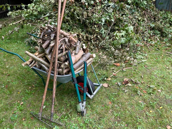 Carretilla Está Llena Leña Jardín —  Fotos de Stock