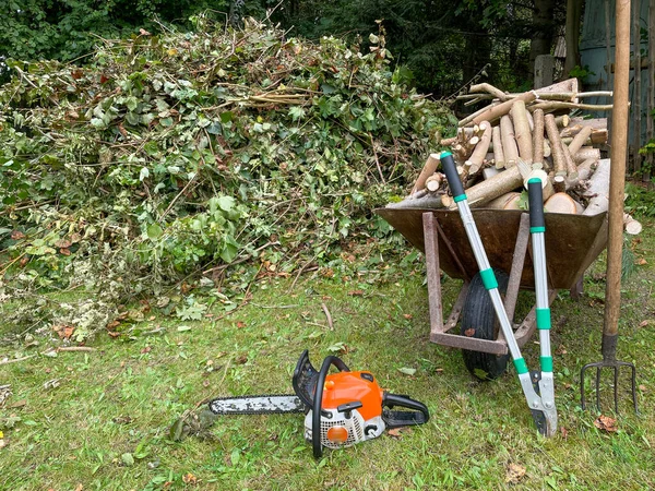 Wood cuttings are cut in the garden