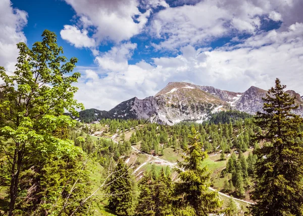 View Watzmann Berchtesgaden Alps — Stock Photo, Image