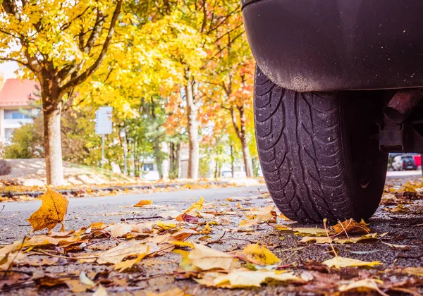 Vorsicht Vor Rutschgefahr Herbst — Stockfoto