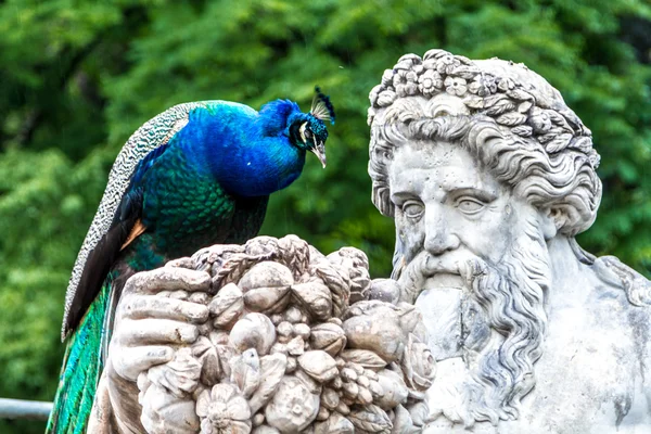 Garden Sculpture, Lazienki Park, Poland — Stock Photo, Image