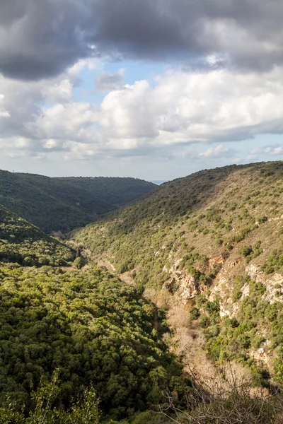 山の風景、イスラエルのアッパー ガリラヤ — ストック写真