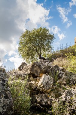 Montfort kale üst Galilee, İsrail