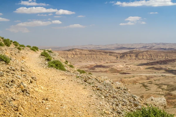 Desierto del Neguev a principios de primavera, Israel — Foto de Stock