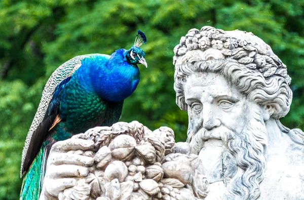 Garden Sculpture, Lazienki Park, Poland — Stock Photo, Image