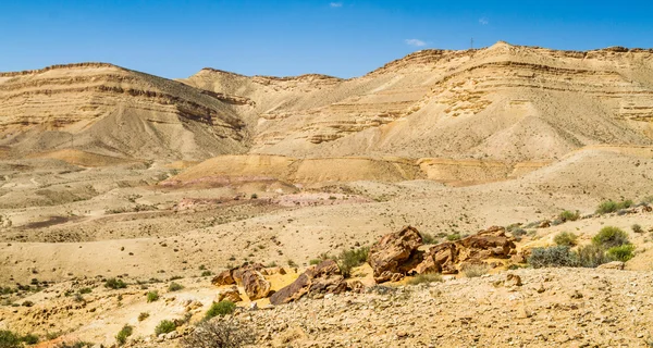 Negev Wüste im zeitigen Frühling, israel — Stockfoto