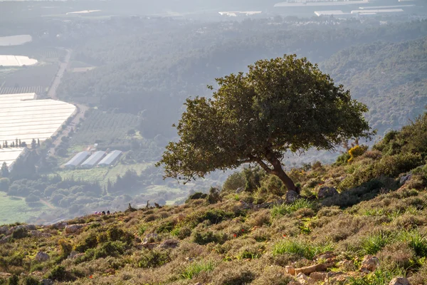 Paisaje montañoso, Alta Galilea en Israel — Foto de Stock