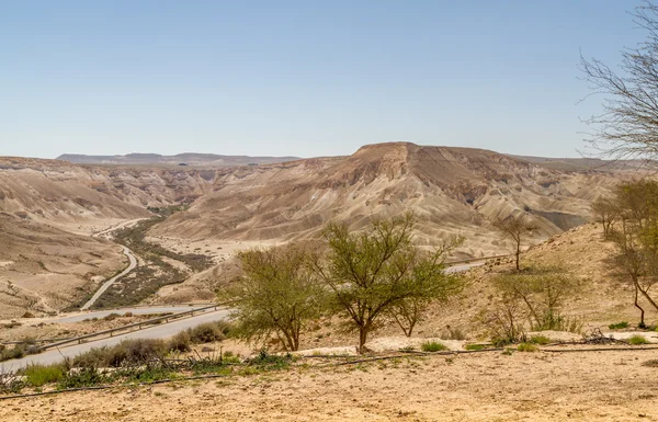 Makhtesh Ramon в пустелі Неґев, Ізраїль — стокове фото