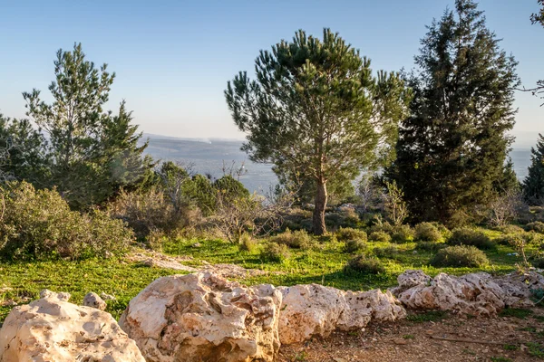 Dağ manzarası, İsrail üst Celile