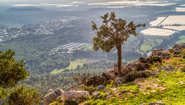 Mountain landscape, Upper Galilee in Israel — Stock Photo, Image