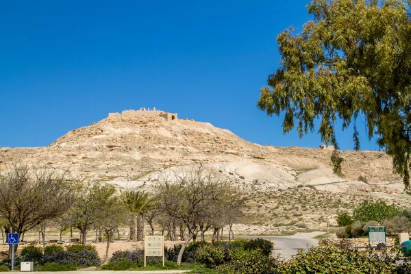 Çöl manzara, Avdat, Nabatean kasaba Negev Çölü, İsrail — Stok fotoğraf