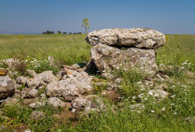 Dolmen, antik mezar yeri Gamla doğa rezerv, İsrail