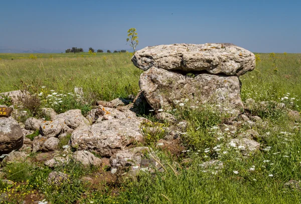 Dolmen, antik mezar yeri Gamla doğa rezerv, İsrail