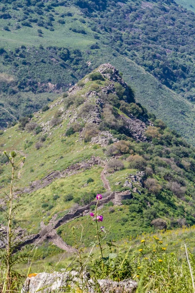 Gamla doğa rezerv, Gamla Antik şehir, İsrail