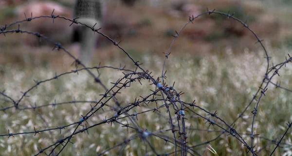 Fence with barbed wire on blurred background. Close-up — Stock Photo, Image