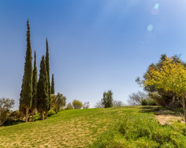 Selvi Kibbutz Sde Boker, İsrail