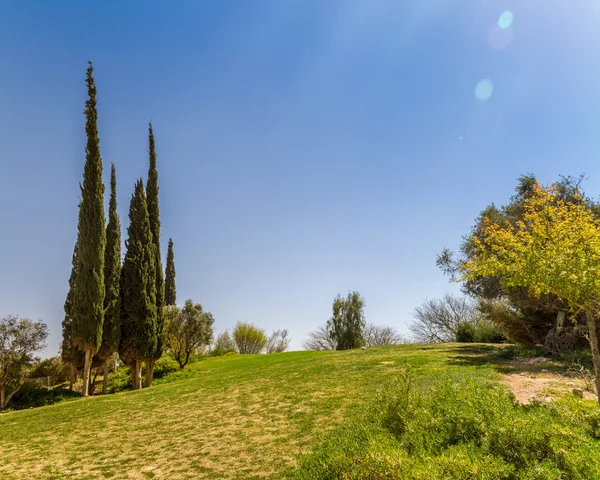 Selvi Kibbutz Sde Boker, İsrail