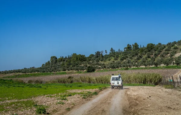 Paseos en SUV por el camino del campo entre prados, Israel — Foto de Stock