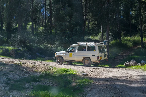 SUV rijdt op de landweg in bos, Israël — Stockfoto