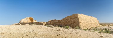 Antik Nabataean kasaba Shivta kalıntıları
