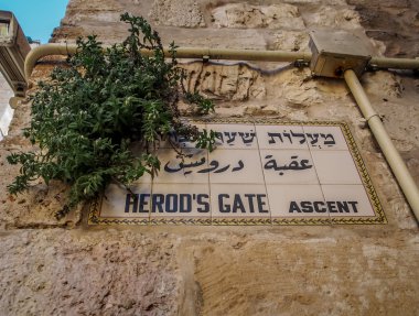 Herods Gate tırmanış adı işareti Kudüs, İsrail