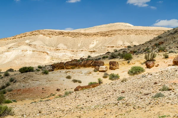 Makhtesh Gadol в пустелі Неґев, Ізраїль — стокове фото