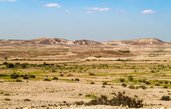 Makhtesh Gadol, 이른 봄, 이스라엘 네 게 브 사막 — 스톡 사진