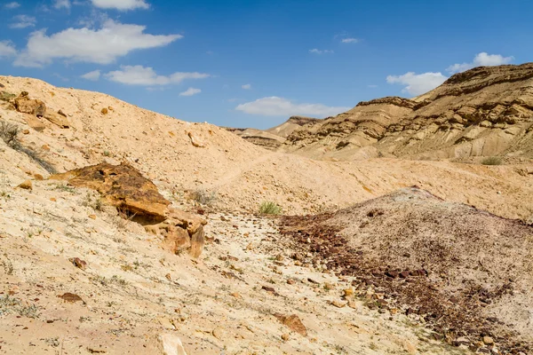 Le Makhtesh Gadol dans le désert du Néguev, Israël — Photo