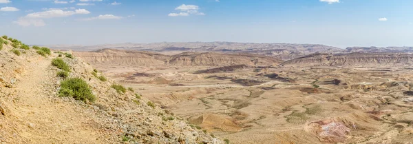 Désert du Néguev au début du printemps, Israël — Photo