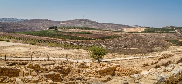 Vista del terreno agricolo, insediamento Shilo in Israele — Foto Stock
