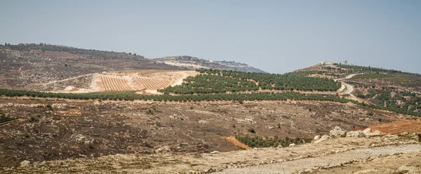 農地、集落イスラエルのシャイロのビュー — ストック写真