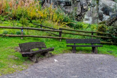 Alman doğa sonbahar park