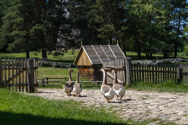 Polska historiska hus — Stockfoto