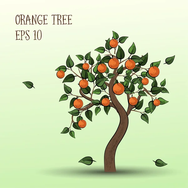 果物のオレンジとオレンジの木 — ストックベクタ
