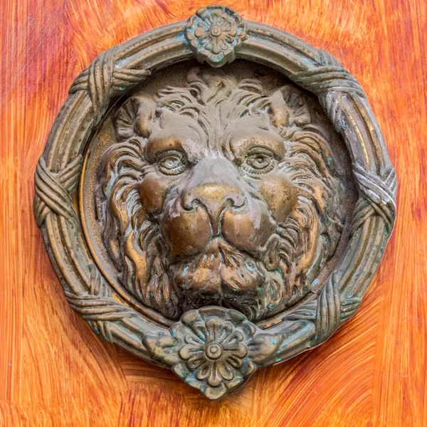 Винтажный латунный дверной стук - голова льва — стоковое фото